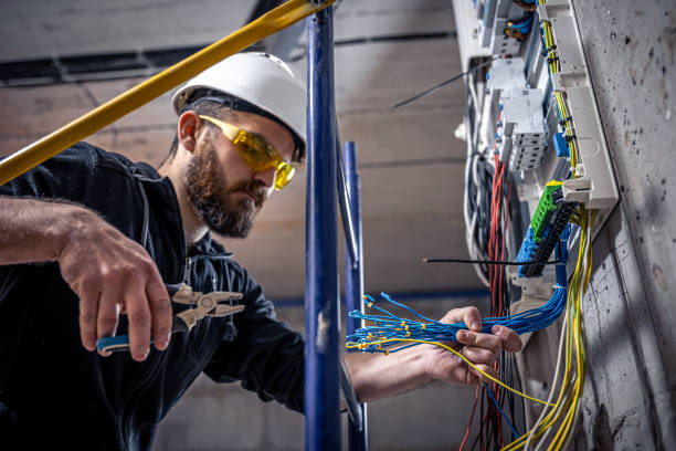 Best Ceiling Fan Installation Electrician  in De Pue, IL