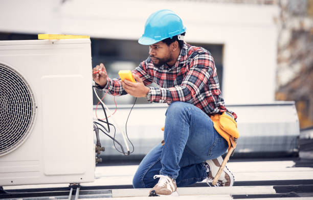 Best Electric Panel Repair  in De Pue, IL